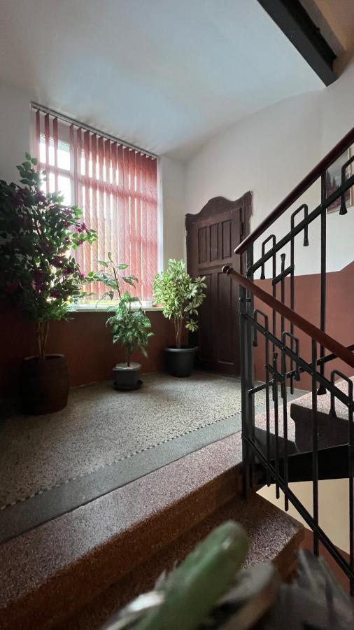 Pension Chevermeto Хемниц Экстерьер фото